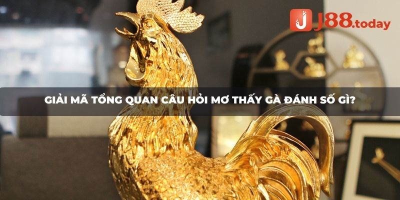 Mơ thấy gà trống toàn thân màu vàng