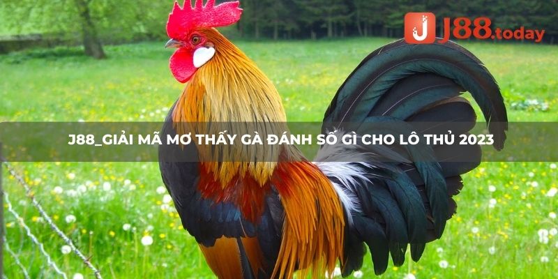 Các bộ số may mắn cho lô thủ mơ thấy gà