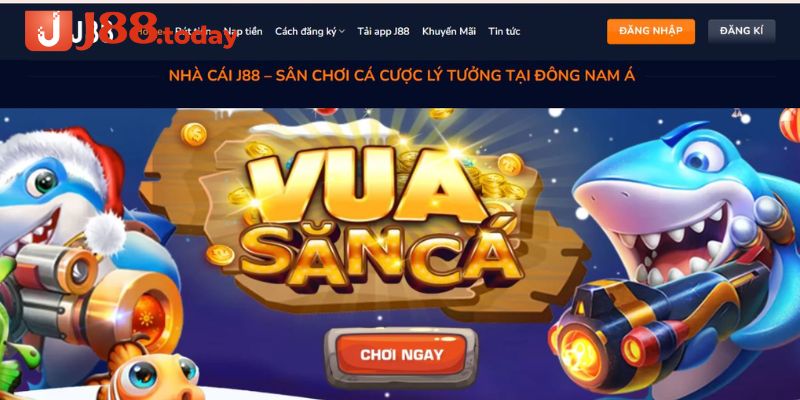 Sử dụng mã cho trò chơi